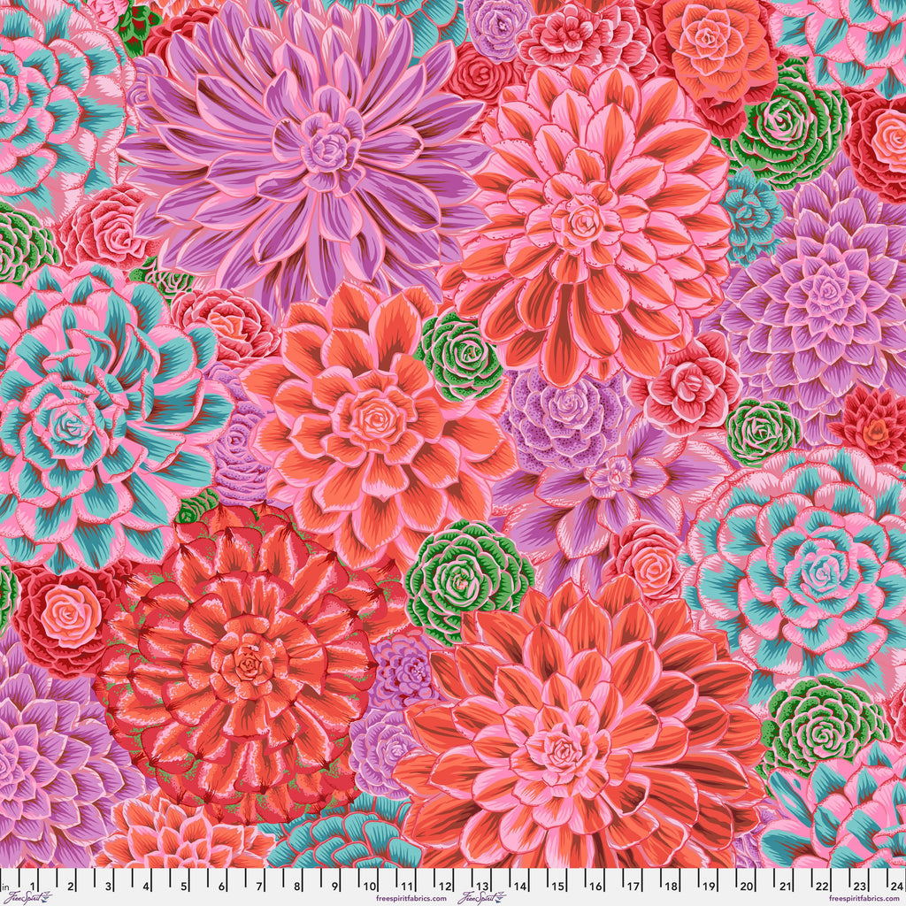 KFC House Leeks PINK PWPJ113 Feb 2025 Priced per 25cm