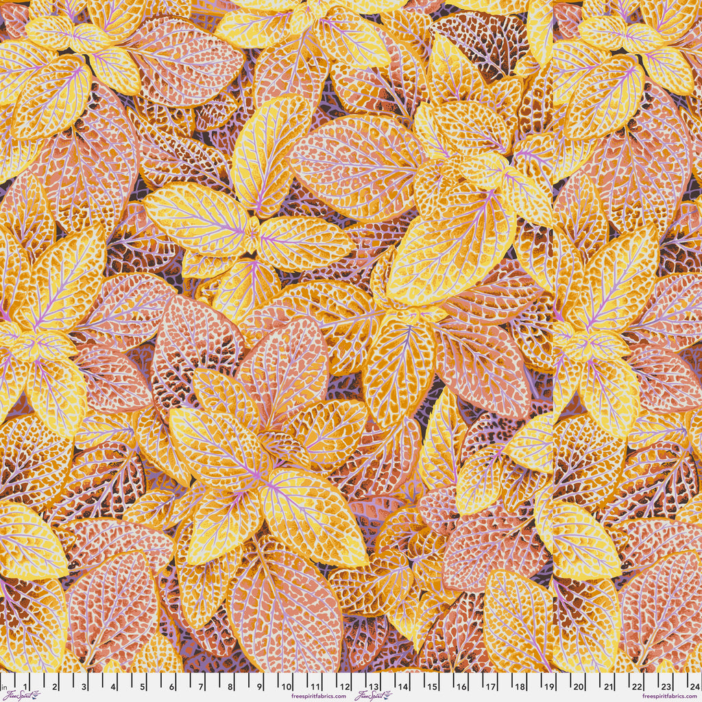 KFC Fittonia GOLD PWPJ129.Priced per 25cm