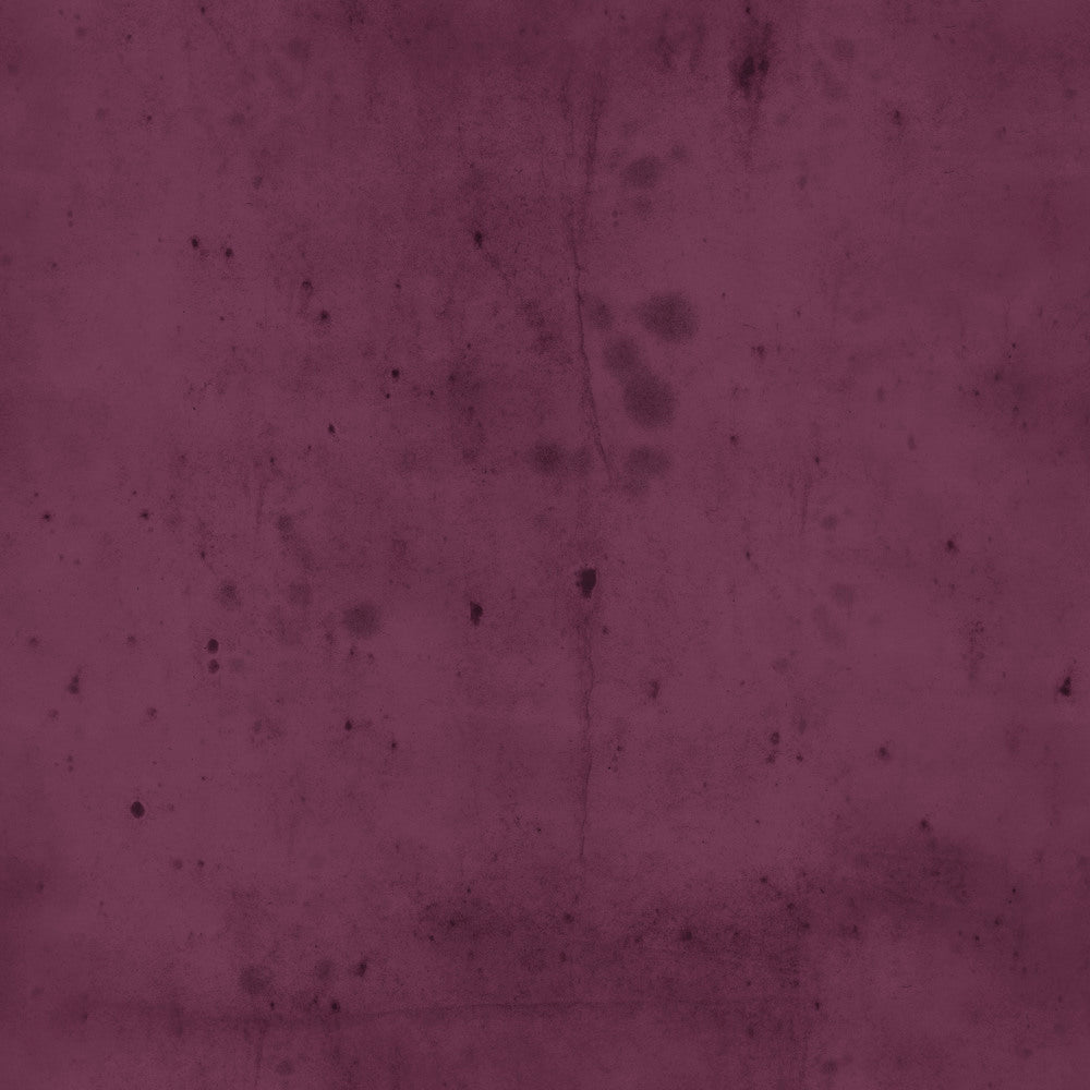 Provisions - VINEYARD by Tim Holtz PWTH115.Priced per 25cm.