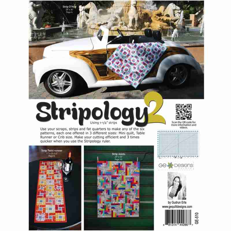 Stripology 2 by Gudrun Erla