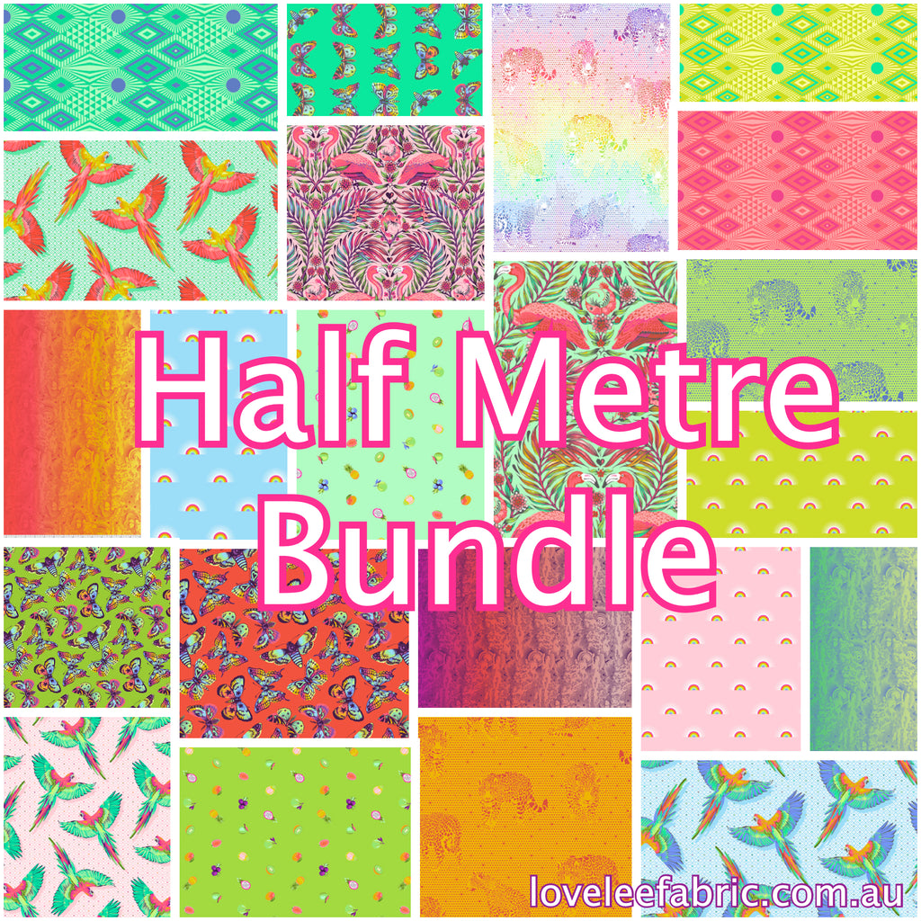 *Day dreamer by Tula Pink - HALF METRE BUNDLE