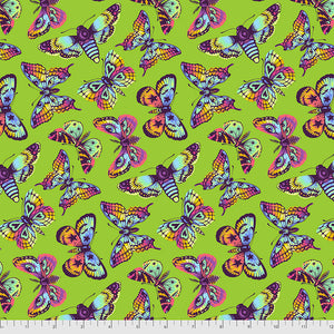 DAYDREAMER Butterfly Kisses AVOCADO  PWTP171.Priced per 25cm.Tula Pink
