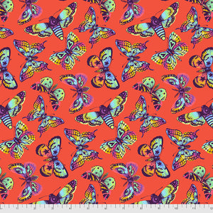 DAYDREAMER Butterfly Kisses PAPAYA PWTP171.Priced per 25cm.Tula Pink