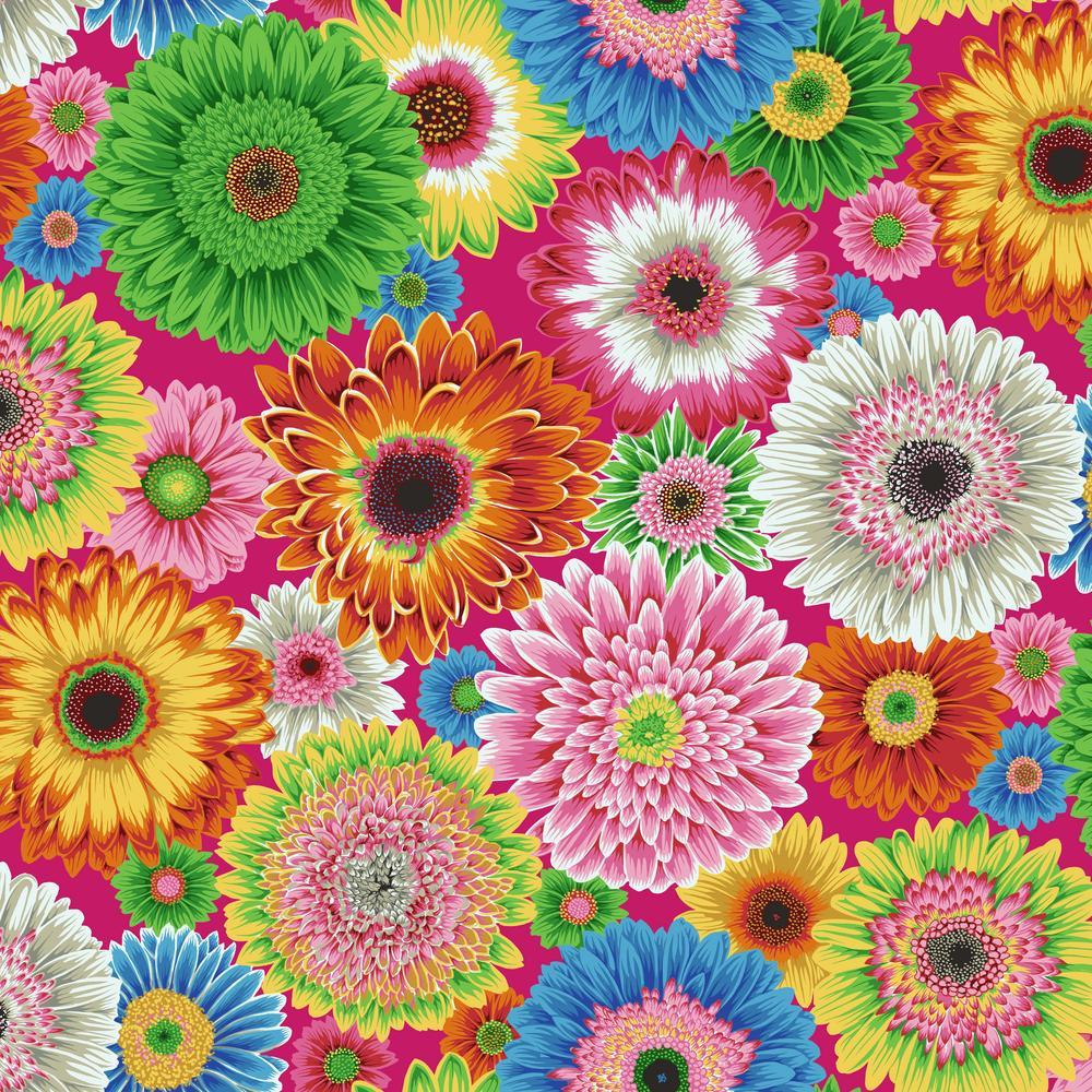 KFC Gerbera Daisies BRIGHT PWPJ139 Aug 2026 Priced per 25cm