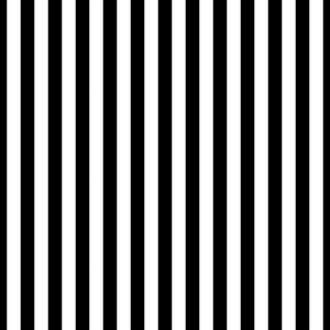 Black and white vertical striped pattern