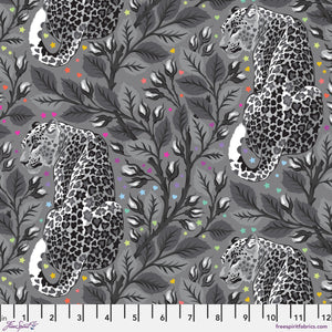 *Pre Order GRAYWORK PWTP258.SHADOW Beautymark Priced per 25cm - Due Oct/Nov