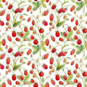Hedgehog Hollow by Jason Yenter 8HH-1 Wild Strawberry.Priced per 25cm