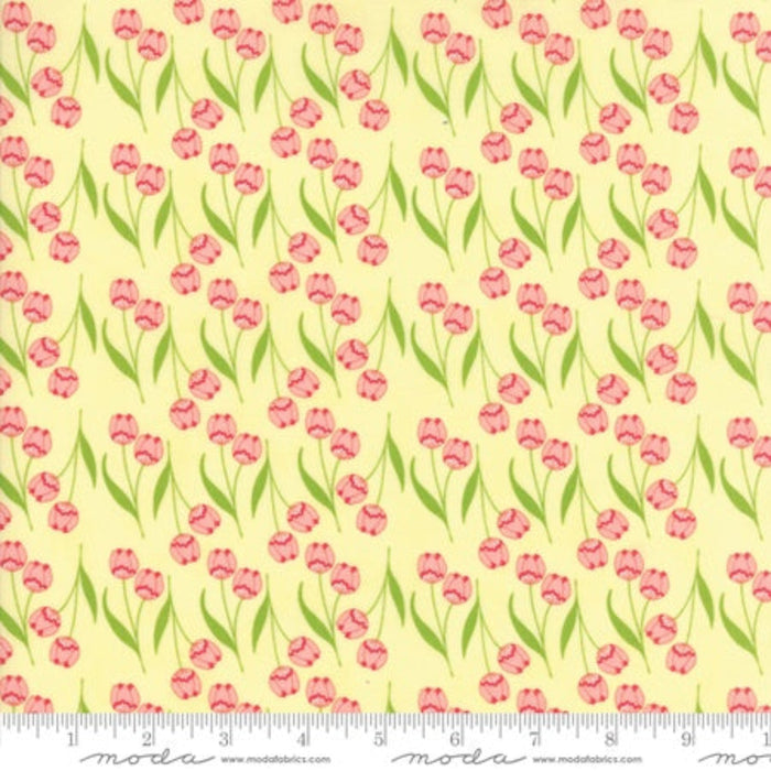 TUPPENCE Butter 45512 12.Priced per 25cm.